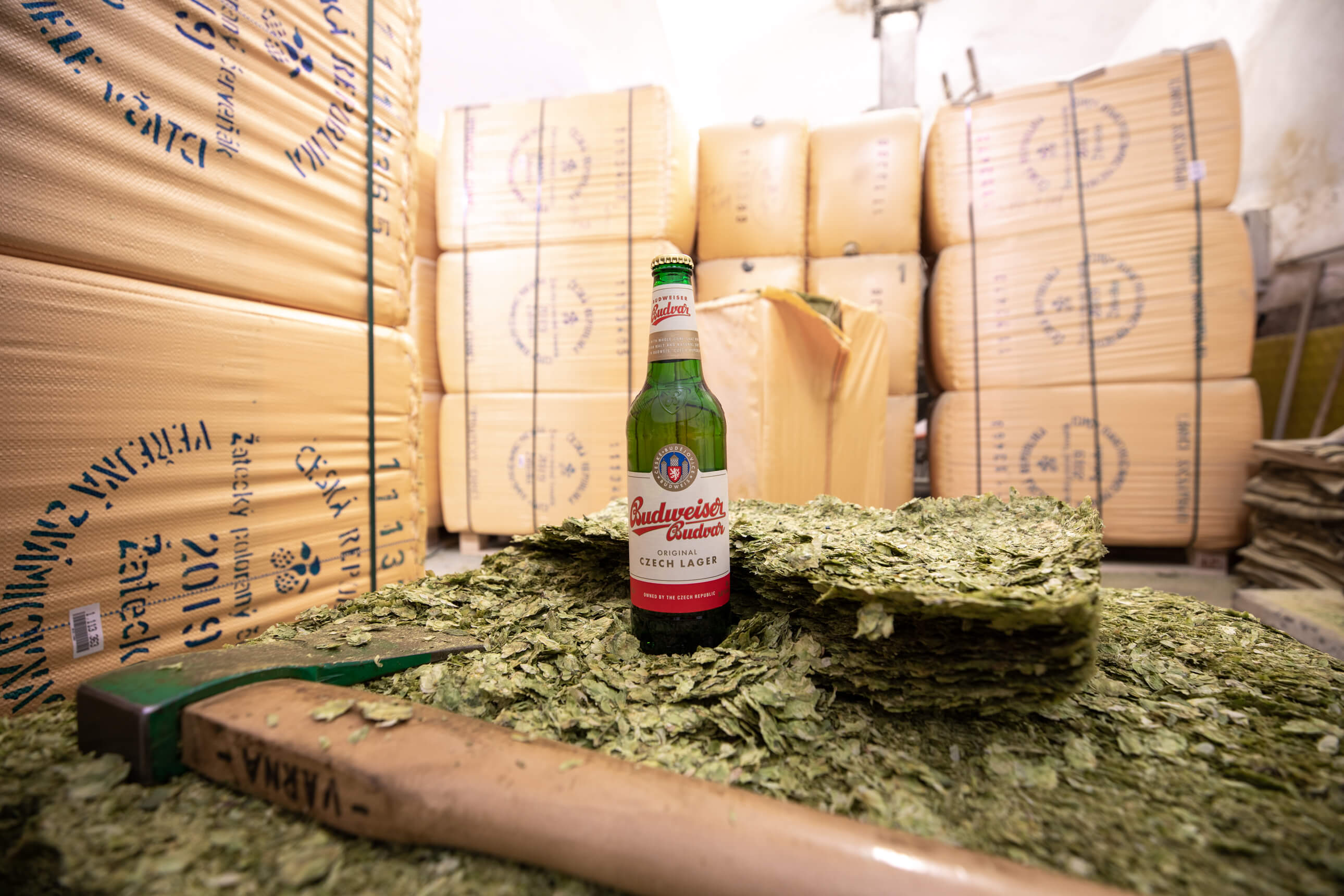 Tipy na zlepšenie piva 