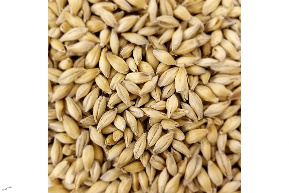 Soufflet Pale Ale EBC 4-5 - 1 kg