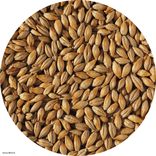 Simpsons dextrínový slad EBC 1,3 - 1,6 -1 kg