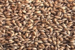 Simpsons Maris Otter EBC 4-6 - 25 kg