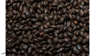 Simpsons Rosted Barley - pražený jačmeň EBC 1300-1900 - 0,5 kg