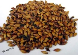 Castle SPECIAL B® EBC 260 - 320 - 0,5 kg 