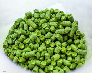 Spalter Select 100 g - nemecký chmeľ